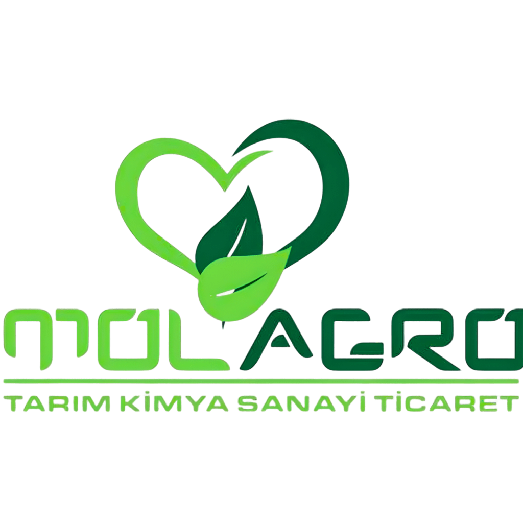 Molagro Logo